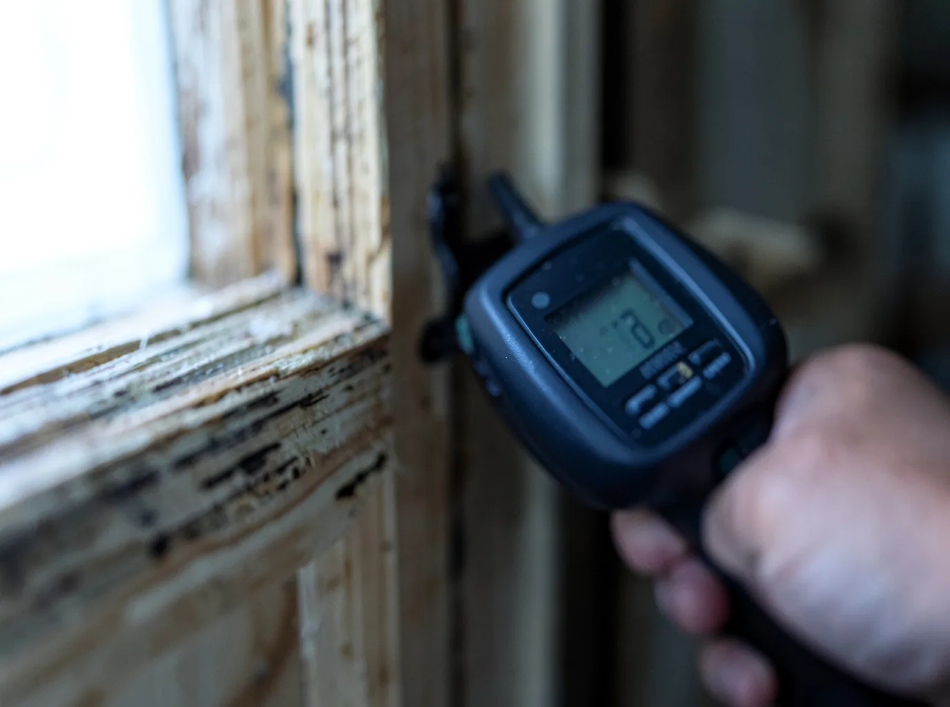 Moisture Inspection And Documentation in Spring Lake, NJ
